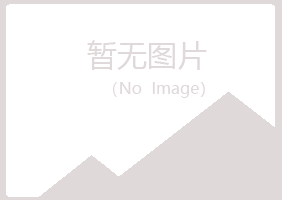 鹤岗兴山妩媚水泥有限公司